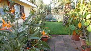 Parco della struttura