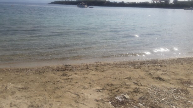 A beach with clear water, a sandy shore, and a distant island with buildings. - VILLA SOFIA (ground floor self - contained apartment) (Marathos)