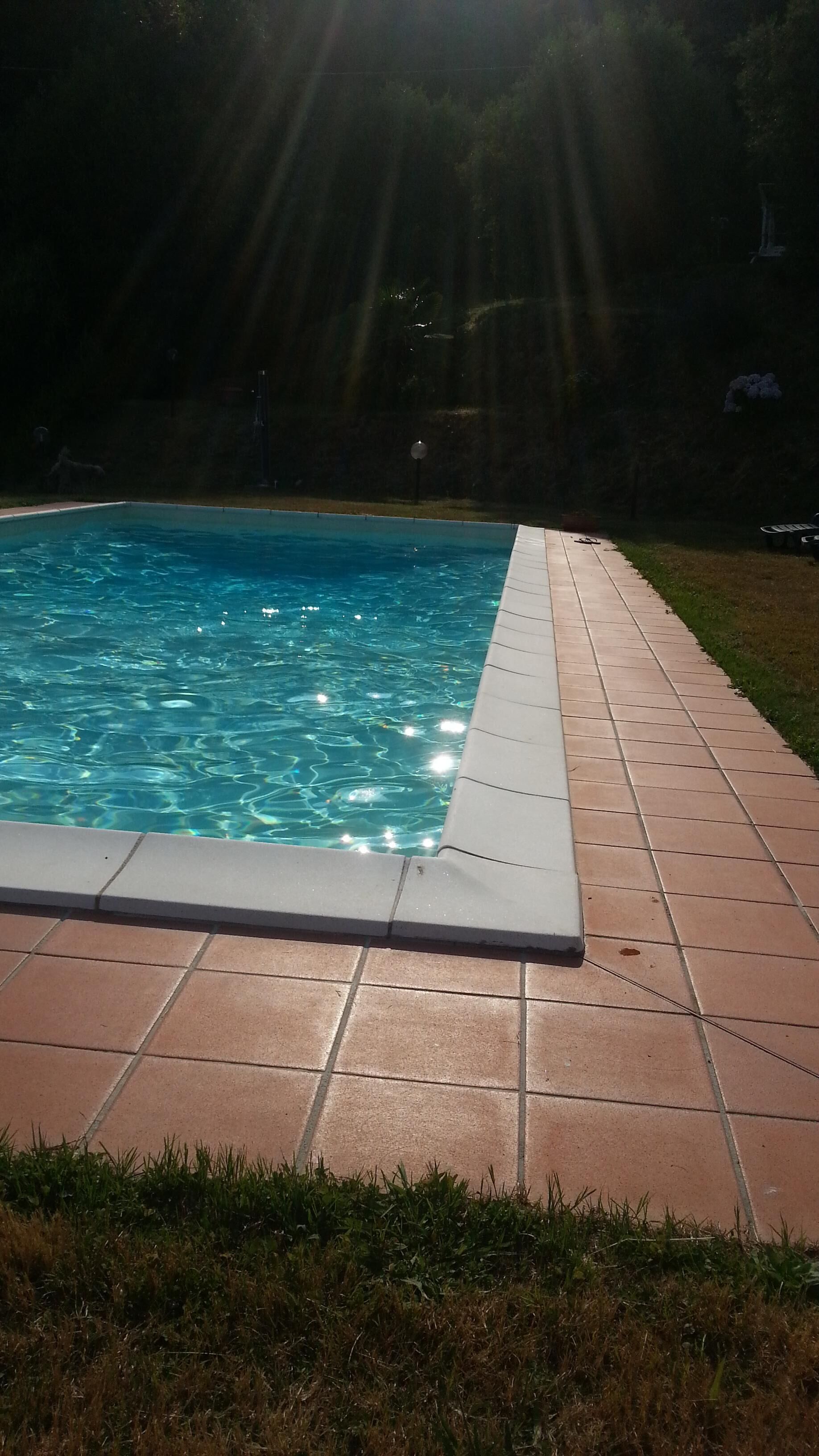 Une piscine rectangulaire à l’eau d’un bleu limpide, entourée d’une terrasse carrelée.