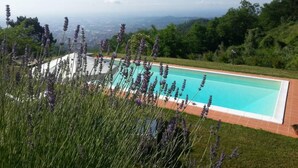A rectangular pool with a clear blue water surface, surrounded by a well-maintained lawn and lavender plants. - Elegant Villa near Lucca with big and panoramic garden and private pool (Capannori)