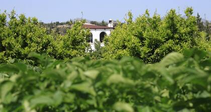 River Ebro Holidays Casa Siempre B&B with Private Swimming Pool Near Tortosa.