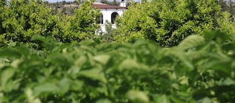 River Ebro Holidays Casa Siempre B&B with Private Swimming Pool Near Tortosa.