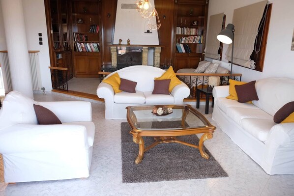 TV, fireplace, ping pong, books