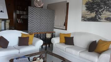 TV, fireplace, ping pong, books