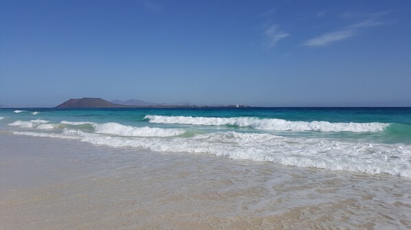 Plage à proximité, chaises longues