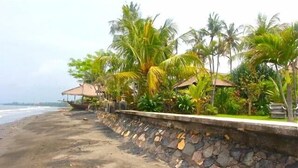 A beach with a stone wall and palm trees. - Fabulous villa right on the beach with large pool, tropical garden & staff (Dencarik/Lovina)