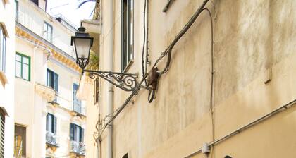 Salerne dans la suite cĆur