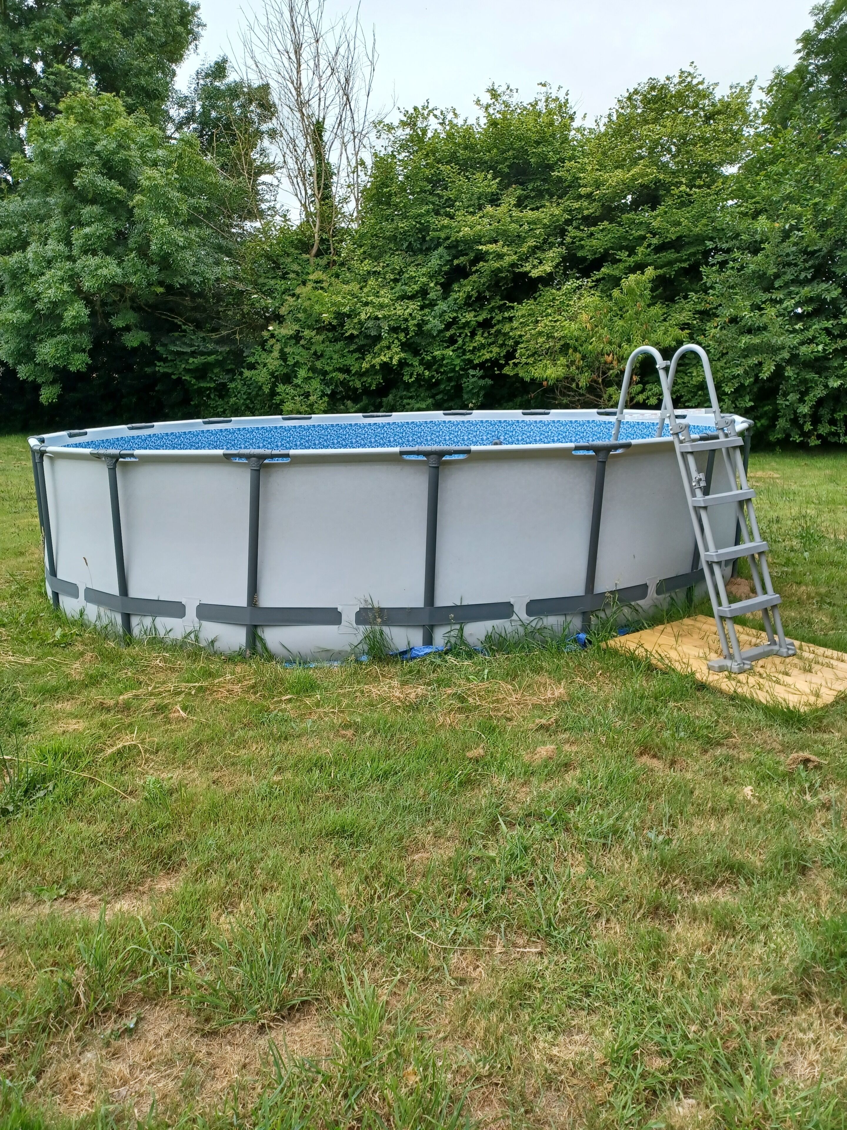 An above-ground swimming pool with a ladder, surrounded by grass and trees.
