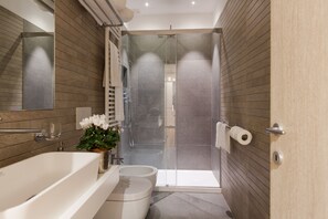 Shower, hair dryer, bidet, towels