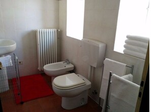 Bañera con ducha, secador de pelo, bidet, toallas