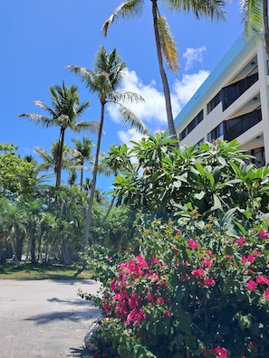 Property grounds - Key Largo Oceanfront Escape: Pools, Beach, Fishing Pier, No Steps ! 🏝️ (Key Largo)