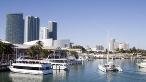 A marina with several boats docked, surrounded by modern high-rise buildings and palm trees. - Key Largo Oceanfront Escape: Pools, Beach, Fishing Pier, No Steps ! 🏝️ (Key Largo)