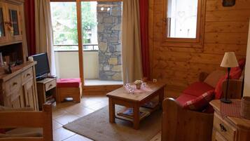 TV, DVD player, books, video library