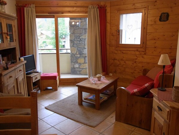TV, DVD player, books, video library