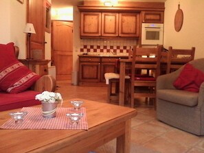 TV, DVD player, books, video library