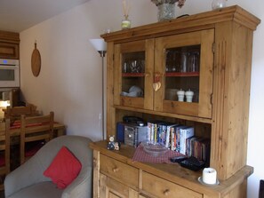 TV, DVD player, books, video library
