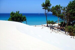 A sandy beach with trees and a clear blue sea. - New Modern Luxury Villa, Private Infinity Pool, Garden and great views. Fully AC (Domus de Maria - Chia)