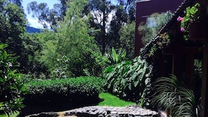 A garden with a pond, stone steps, and lush greenery.