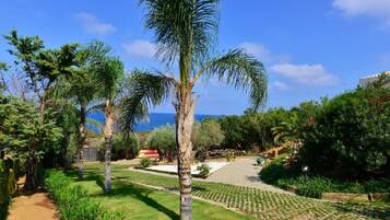 A garden with palm trees, a gravel path, and a view of the sea.