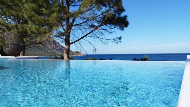 Ein klares, blaues Schwimmbecken mit einem Baum und Blick aufs Meer.