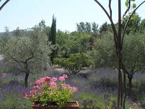 Vue de la terrasse des petits déjeuners