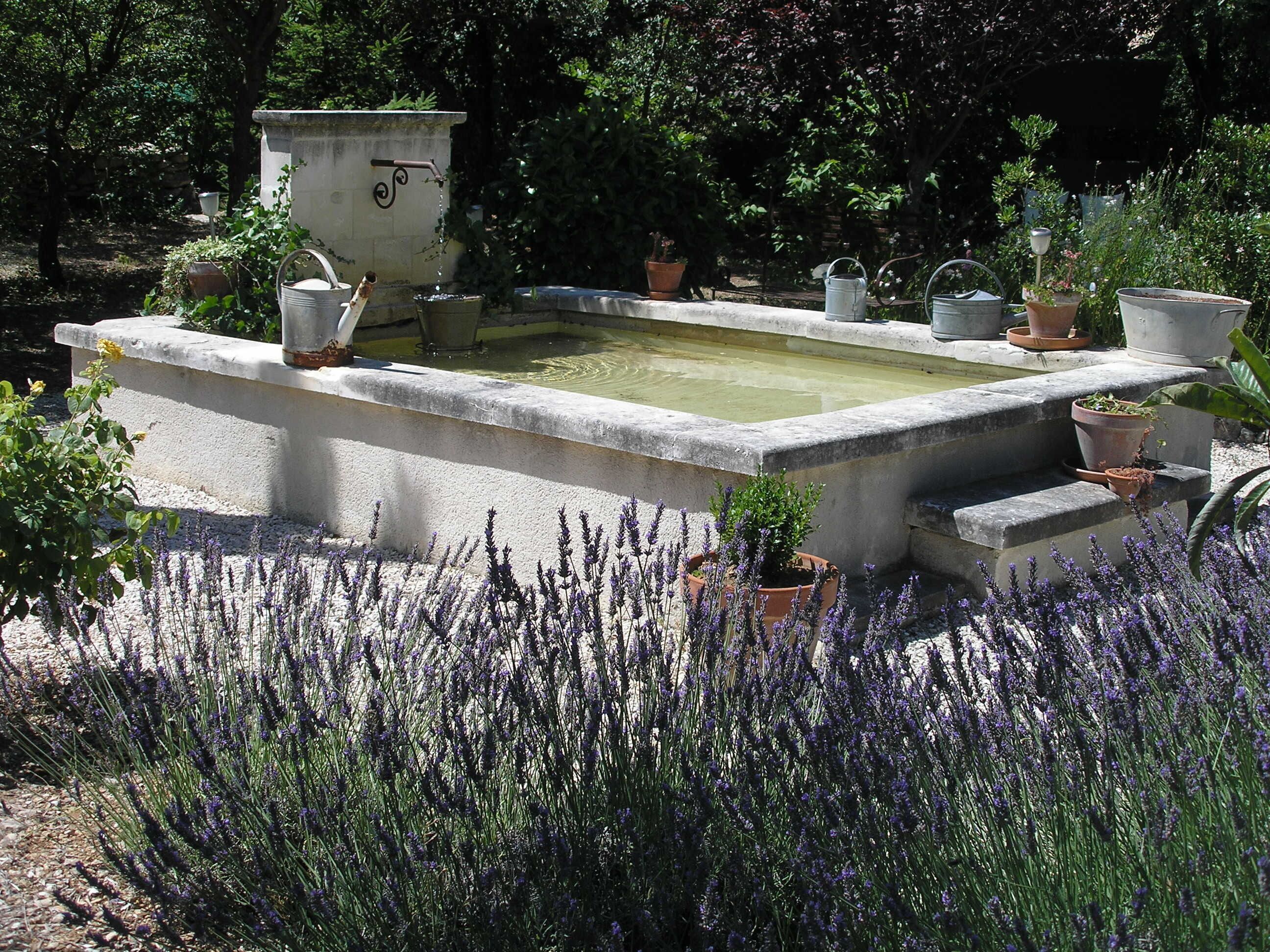 Un jardín con una fuente de piedra rectangular rodeada de plantas de lavanda.