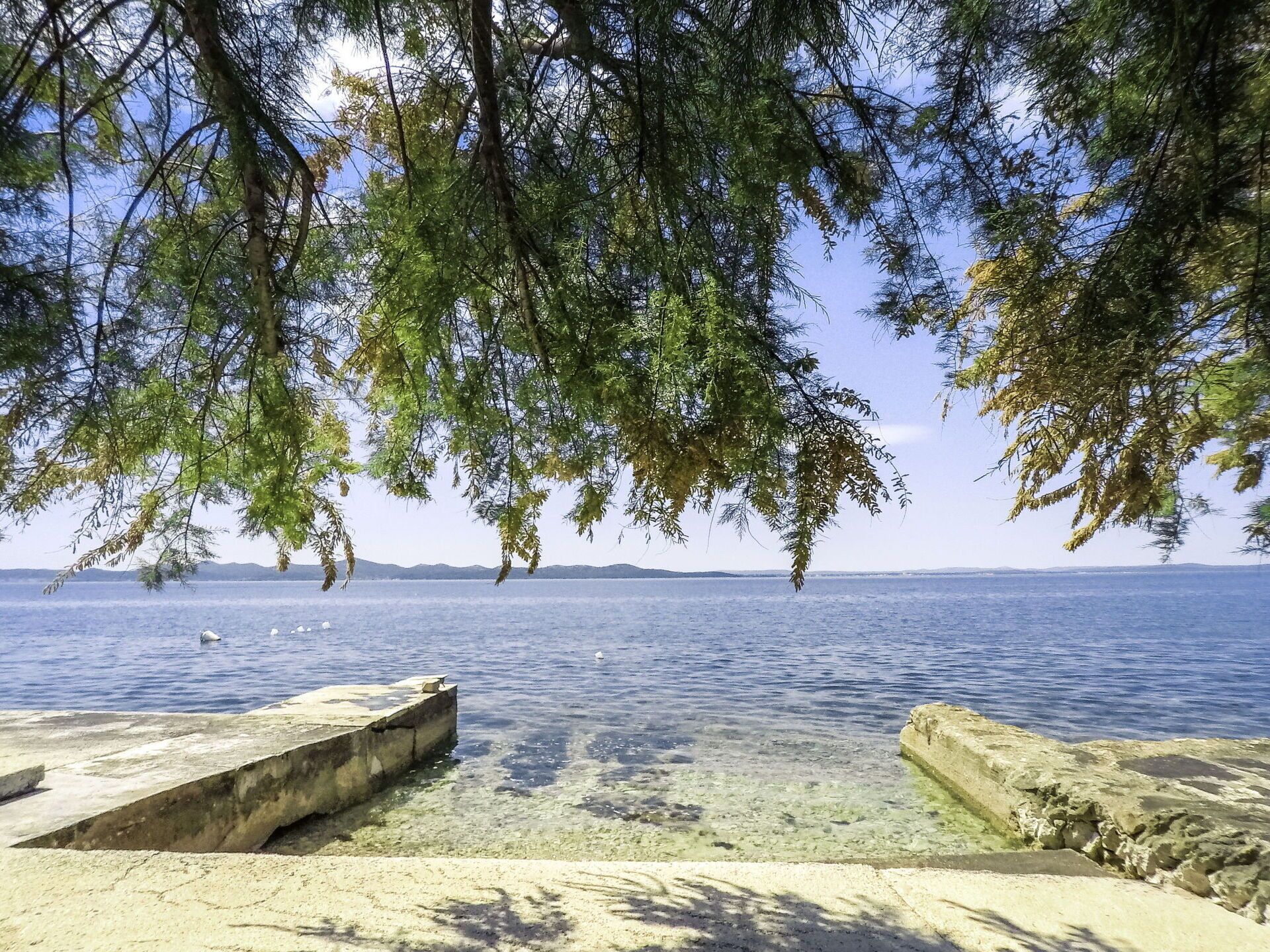 Una vista despejada de un lago con un muelle de hormigón que se adentra en el agua, rodeado de árboles.