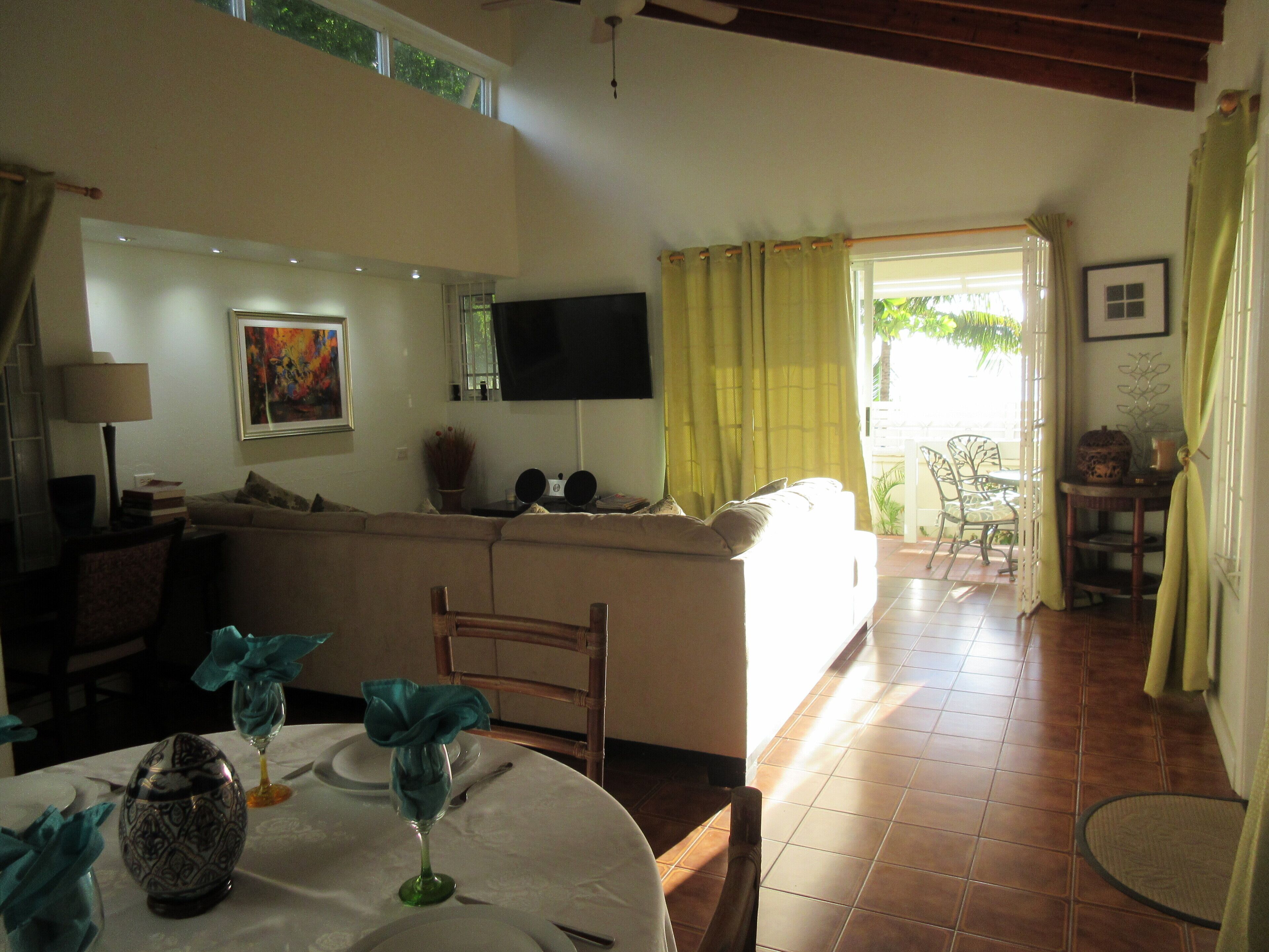 Smart TV, DVD player, books, stereo