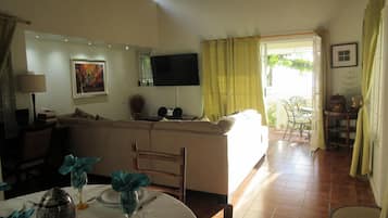 Smart TV, DVD player, books, stereo