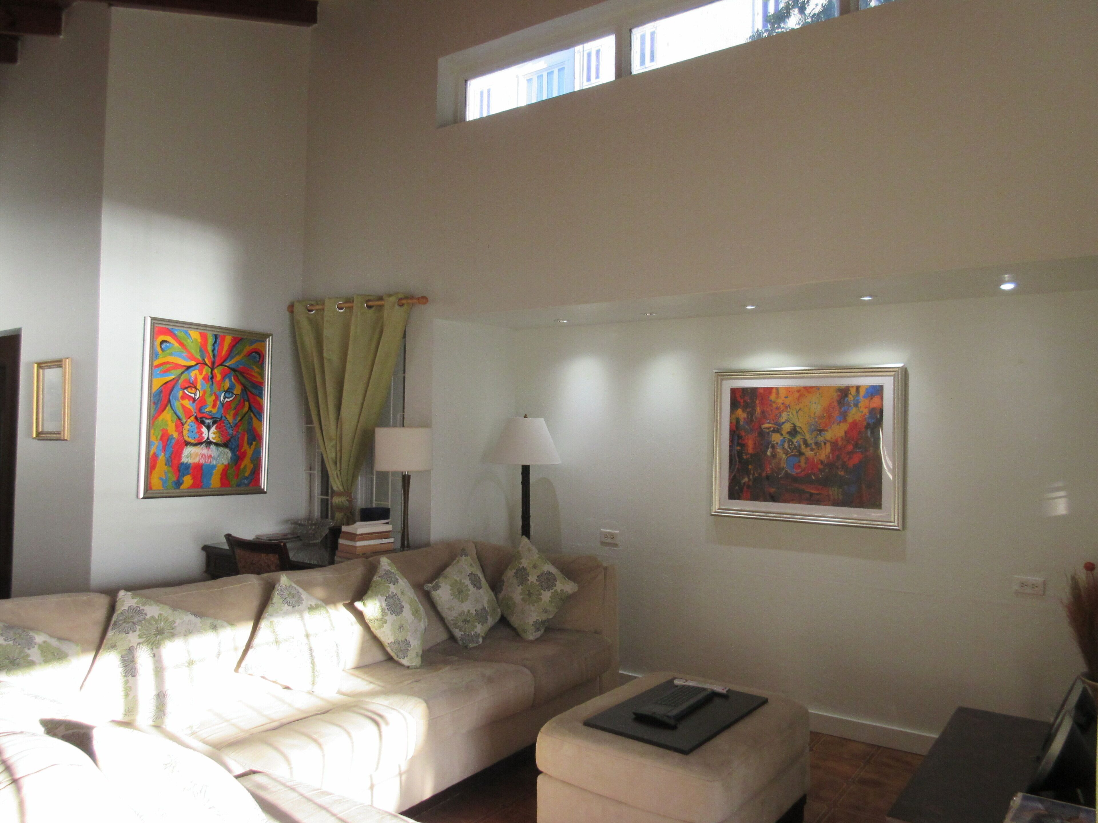 Smart TV, DVD player, books, stereo