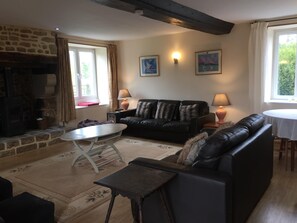 Smart TV, chimenea, reproductor de DVD y libros 