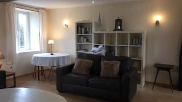 Smart TV, fireplace, DVD player, books