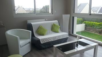 Televisio, DVD-soitin, kirjoja