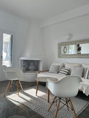 Télévision, cheminée, lecteur de DVD, livres