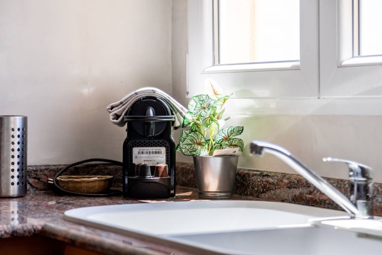 A kitchen counter with a coffee maker, a potted plant, and a stainless steel container.