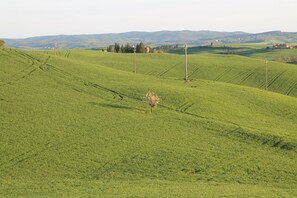 Nicht klassifiziertes Bild, 4 von 20, Schaltfläche