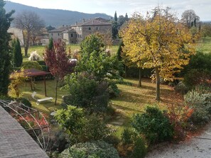 Property grounds - Apartment/house in a Tuscan stonehouse with private swimming pool and garden (Cortona)
