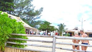 A beach area with a bamboo fence, palm trees, and a building with a tiled roof. - Cozy Cottage, 5 minutes walk to beach, beautiful garden perfect relaxation spot (Ocho Rios)