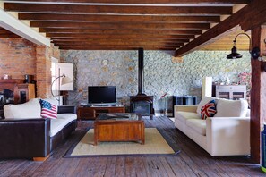 TV, DVD player, toys, books