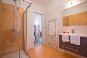 淋浴设施、吹风机、坐浴桶、毛巾