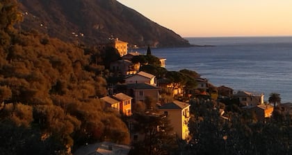 Maison avec jardin donnant sur la mer