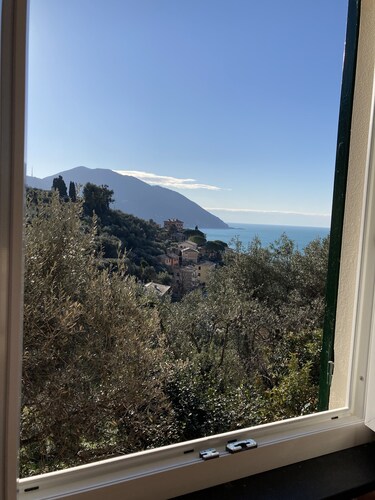 Maison avec jardin donnant sur la mer