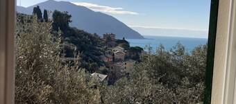 House with garden overlooking the sea