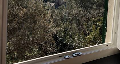 Maison avec jardin donnant sur la mer