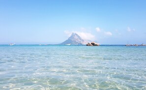 Beach nearby, sun-loungers - Pretty house in Sardinian style a step away from Budoni and San Teodoro. (Tanaunella)