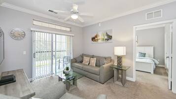 智能電視、DVD 播放機