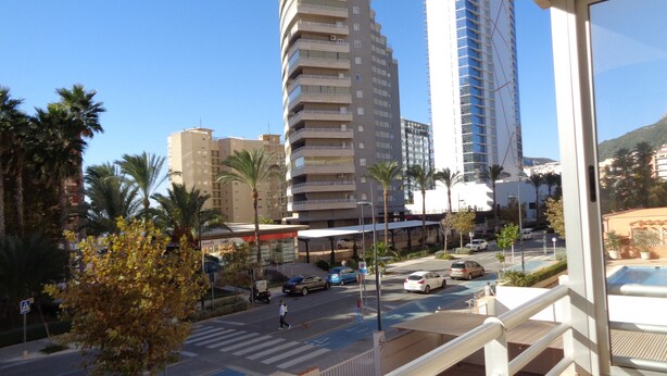 A city street with tall buildings, palm trees, and a pedestrian crossing. - A78 EDIFICIO PEÑASOL 1º 3 (Calpe)