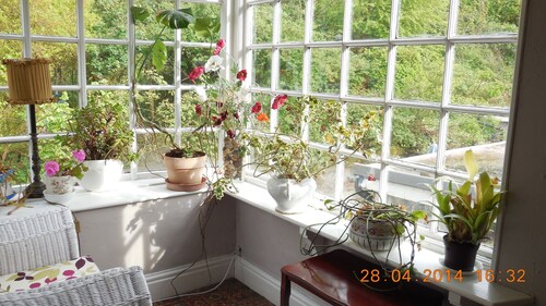 Beamed Rural Cottage in Secluded Area, Tranquil Retreat, Near Local Attractions