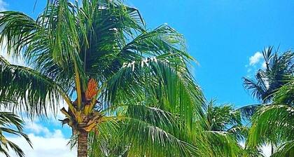 Luxury Spacious Villa 4 min from the beach, Royal Fairmont beach club member.