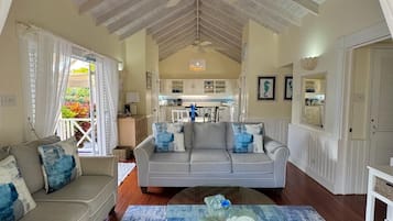 Smart TV, DVD player, books, music library